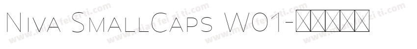 Niva SmallCaps W01字体转换